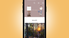 Brooke Cormier Art Gallery Website